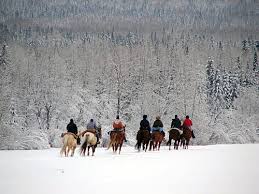 horseback snowy forest
