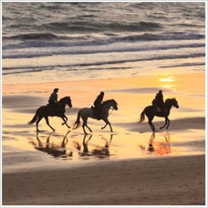 Avalon traveers on horseback