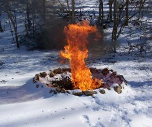 ice fire in woods