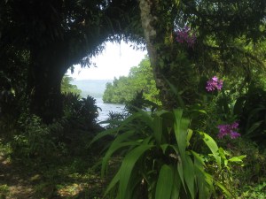 pohnpei 8